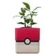 thumbnail image 1 of Maceta Pokémon 3D Plantas PokeFlowy 1 Pza 14x14x14cm Rojo Negro Blanco No incluye Planta., 1 of 6
