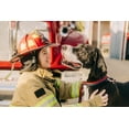 thumbnail image 3 of Country Brook Petz® Thin Red Line Martingale Dog Collar and Leash, Extra Small, 3 of 7