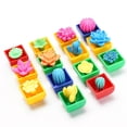 thumbnail image 1 of 48 unids/set increíbles plantas y flores que crecen en agua, juguetes de Cactus, expansión de remojo, absorción de agua, juguetes para niños, 1 of 7
