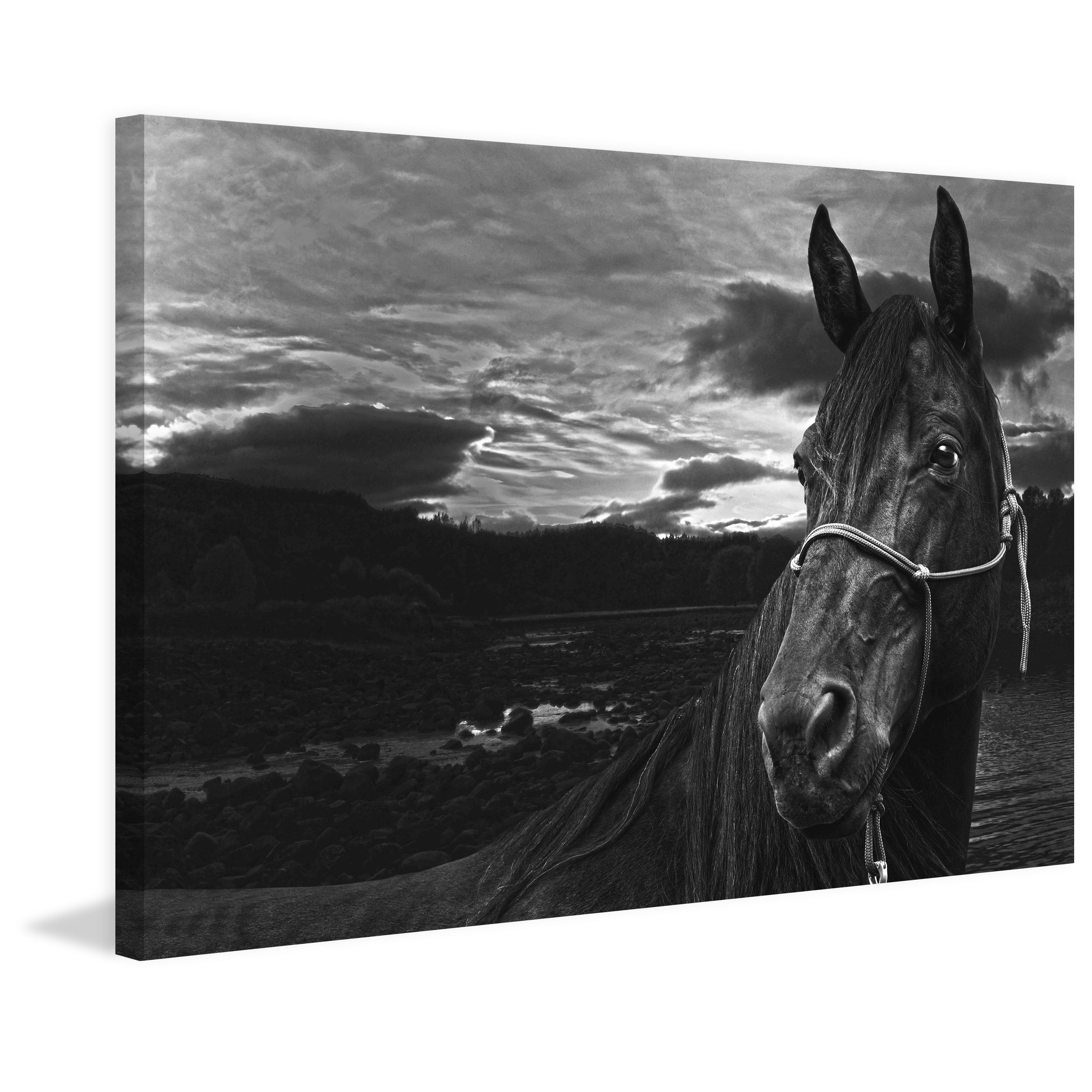 Marmont Hill "Nightwatch" by Maggie Dee Painting Print on Canvas