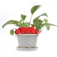 thumbnail image 4 of 100Pcs T-type Nursery Garden Plant Label Flower Thick Tag Mark(white ), 4 of 4