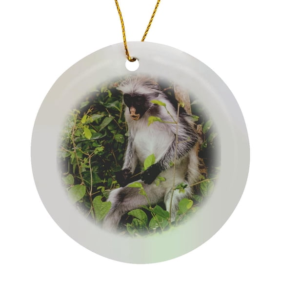 3drose, Africa, Tanzania, Zanzibar, Jozani Chakwa Bay Np. Red Colobus Monkey., Circle Porcelain Ornament