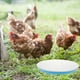thumbnail image 3 of Base calentadora de agua para aves de corral, base calefactora de agua para pollos, calentador de agua para mascotas (enchufe estadounidense), 3 of 7