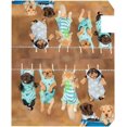 thumbnail image 4 of Coolnut Mailbox Covers, Magnetic Standard Size Staffordshire Terrier Puppies with Cat Hanging Seasonal Mail Wraps for Home Outdoor Decor, 20.7"x18.03", 4 of 5