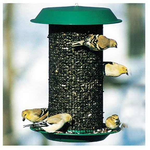 Woodlink NAMAG1 Audubon Hunter Plastic Oil Sunflower Bird Magnum Wild Bird Feeder, Green