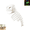 Small#001, variant on Pet Dinosaur Costume, Halloween Costume, Dinosaur Skeleton Costume, Washable Skin-Friendly Polyester Plush Costume With 3 Size, Fit Cats And Tiny Dogs For Halloween Parade & Cosplay Events-Small