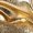 Gold, variant on Socks For Women Fashion Clothing Men Work Business Reflective Comfortable