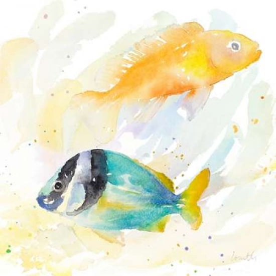 Tropical Fish Square II Canvas Art - Lanie Loreth(24X24)