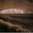 thumbnail image 2 of Schumacher, Nicolas 26x26 Gold Ornate Wood Framed with Double Matting Museum Art Print Titled - Harvest Lights, 2 of 4