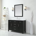 thumbnail image 2 of Ove Decors Tahoe 48 W x 21" D Freestanding Bathroom Vanity with Sink and Mirror, Dark Espresso, 2 of 14