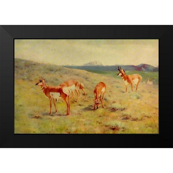 Rungius, Carl 14x11 Black Modern Framed Museum Art Print Titled - Pronghorns