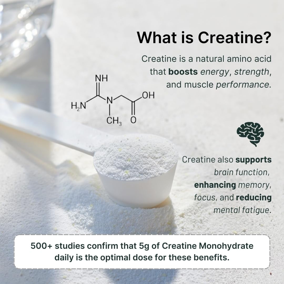 Nutrition On The Go Chocolate Vegan Protein Powder with Creatine - 20g Protein, 5g Creatine & 130 Calories -Single-Serve Packets for Travel, Gym, On-The-Go, Dairy & Gluten-Free, All-Natural (15-Pack)