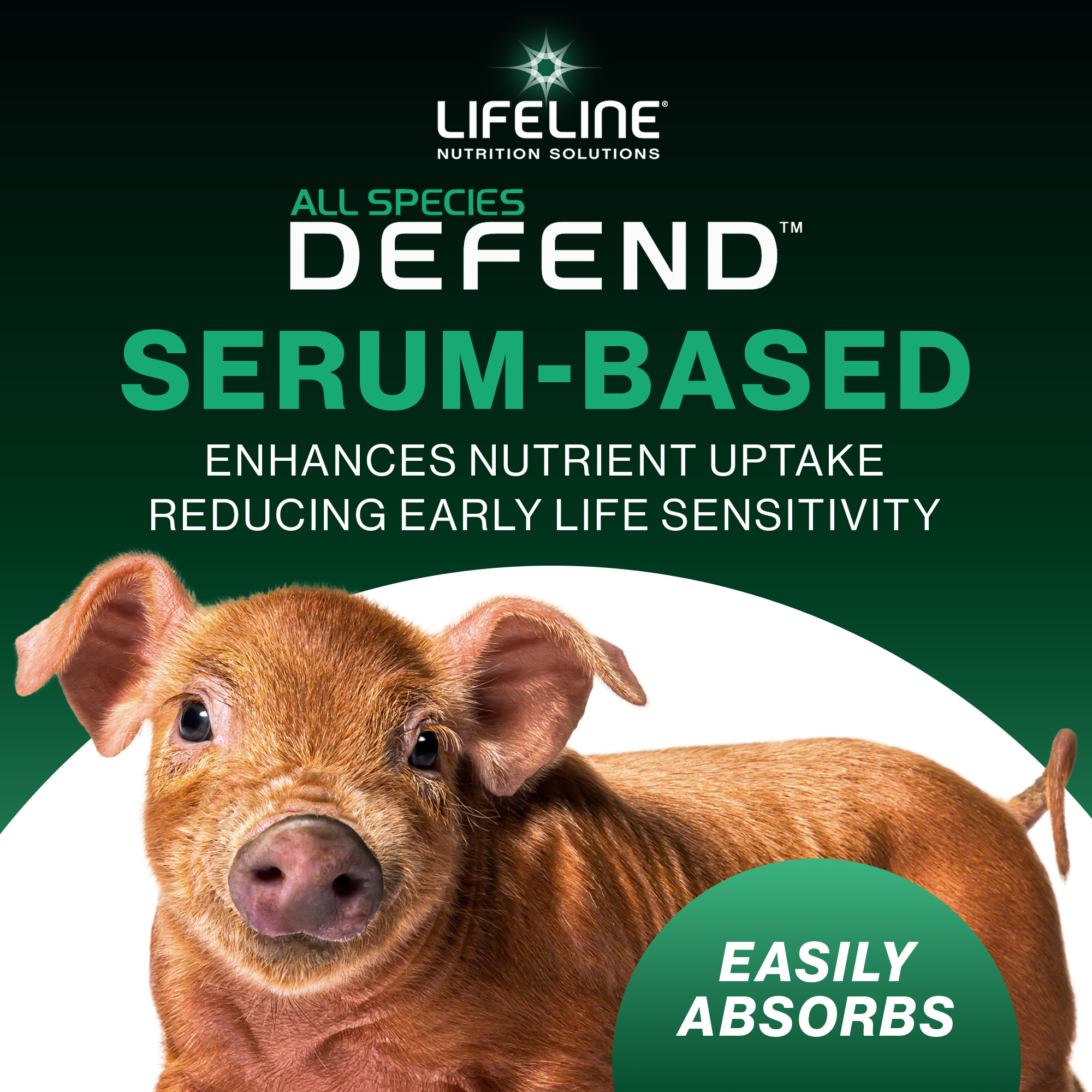 ANNUSO LIFELINE Defend All Species Colostrum Supplement, 1lb Bag - 30g Globulin Protein - Prebiotics, Immune & Gut Support - For Lambs, Kids, Piglets, Puppies, Kittens - Easy Mix Serum-Based Formula
