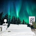 thumbnail image 6 of Forest Wall Tapestry for Bedroom Aesthetic, Nature Outer Space Galaxy Starry Night Tapestry Wall Hanging, Green Landscape Ceiling Backdrop Decor Tapestries for Living Room Dorm, 6 of 9