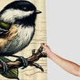 thumbnail image 3 of JEUXUS Bird Art Colorful Birds on Reed Branch Vintage Rustic Hummingbird Textured Chickadees Pictures Shower Curtain for Bathroom Decoration White, 3 of 6