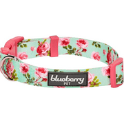 Angle View: Blueberry Pet 7 Patterns Spring Scent Inspired Floral Rose Print Turquoise Adjustable Dog Collar, Medium, Neck 14.5"-20"