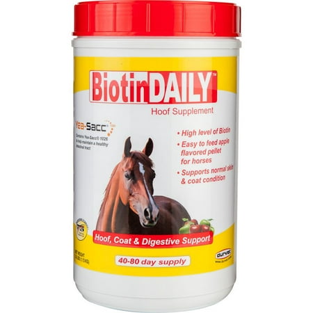 Durvet Biotin Daily Horse Hoof Care, 2.5 lb (Best Hoof Supplement For Horses)