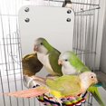 thumbnail image 4 of Parrot Toy for Gray Parrots Colorful Hanging Bird Mirror with Rope Perch Set for Parrots Lovebirds Cockatiel Swing for Greys, 4 of 4