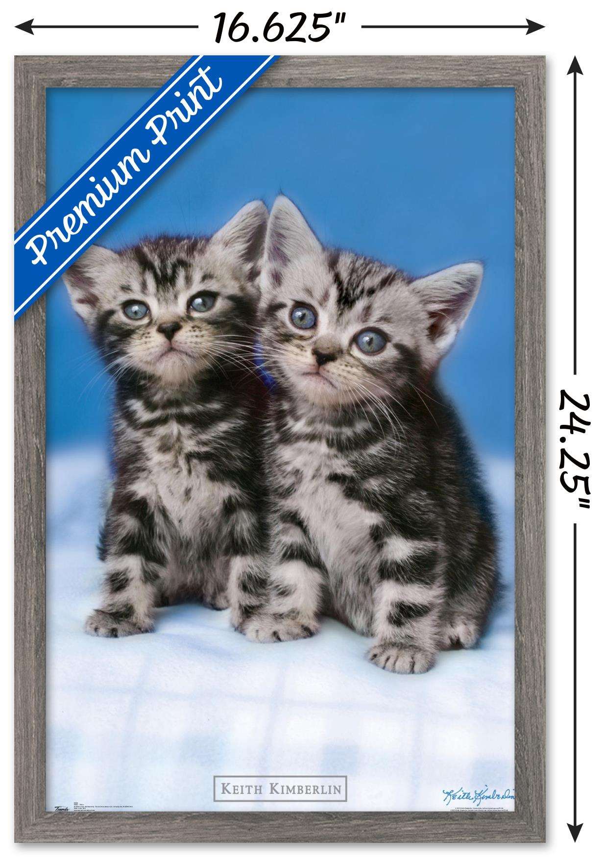 Keith Kimberlin - Kittens - Twins Wall Poster, 14.725" x 22.375", Framed