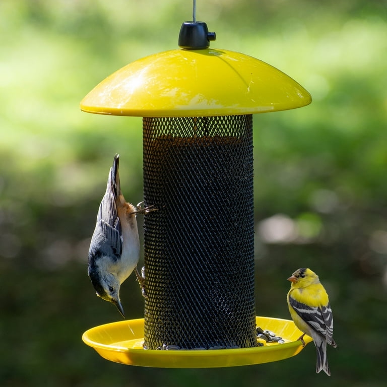 Perky-Pet Yellow Finch Feeder, 1.5 lb Capacity - Walmart.com