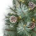 thumbnail image 5 of Nearly Natural 4' Green Frosted Tip Pine Artificial Christmas Tree with Pinecones Prelit 100 Clear Lights, 5 of 8