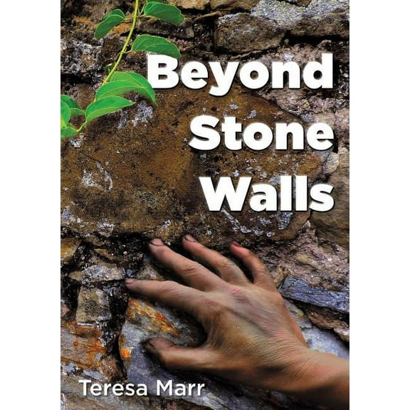 Beyond Stone Walls (Paperback)