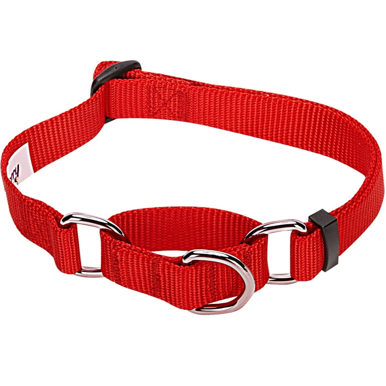 Blueberry top martingale collar