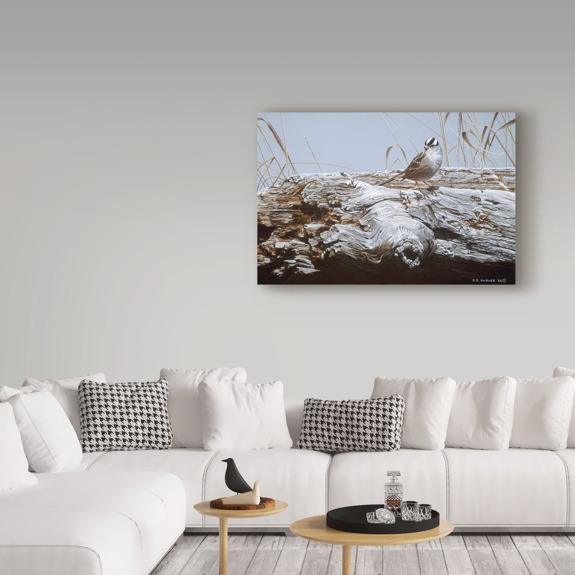 Trademark Fine Art 'White Crowned Sparrow' Canvas Art by Ron Parker
