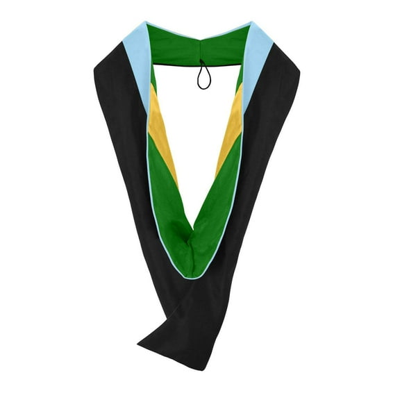 Endea Graduation Masters Hood For Education, Counseling  Guidance, Arts in Education - Light Blue/Green/Gold