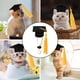 thumbnail image 5 of 4pcs Gorra de graduación Mini Doctorado Sombrero con borlas Mini Mascotas Muñeca Sombreros, 5 of 5
