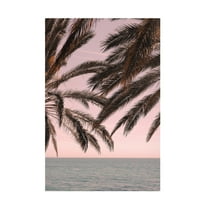 Pictufy Studio III 'Palm 11' Canvas Art - 16 x 24 Inches