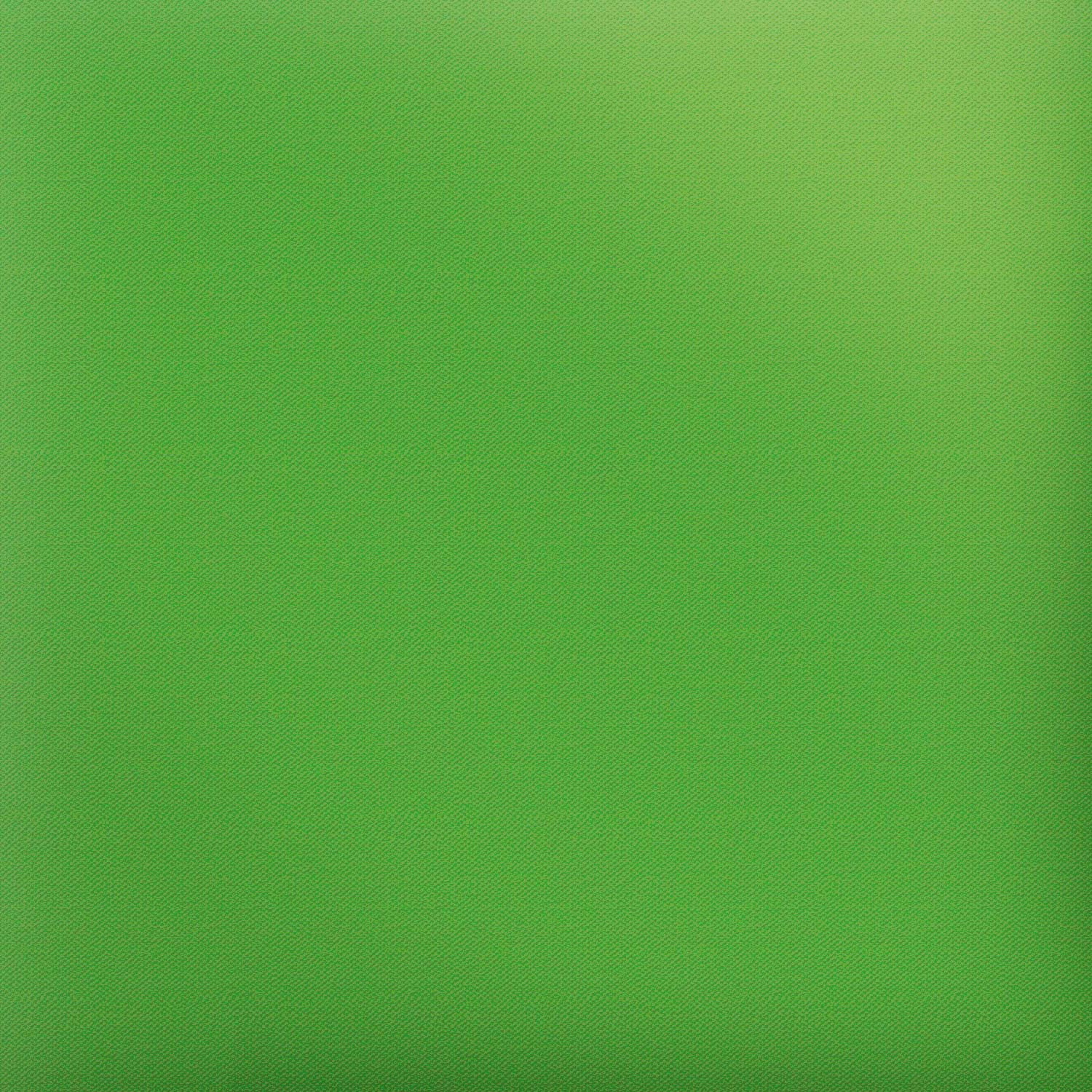 Siser EasyPuff HTV Iron on Heat Transfer Vinyl 12" x 10ft Roll - Apple Green