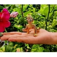 thumbnail image 3 of WC_Laddu Gopal Krishna Statue for Janmashtami - Hindu God of Love and Divine Joy Kanha Krishna Idol, Baby Krishna Murti-Religious Gift - Home Decor Item, 3 of 7