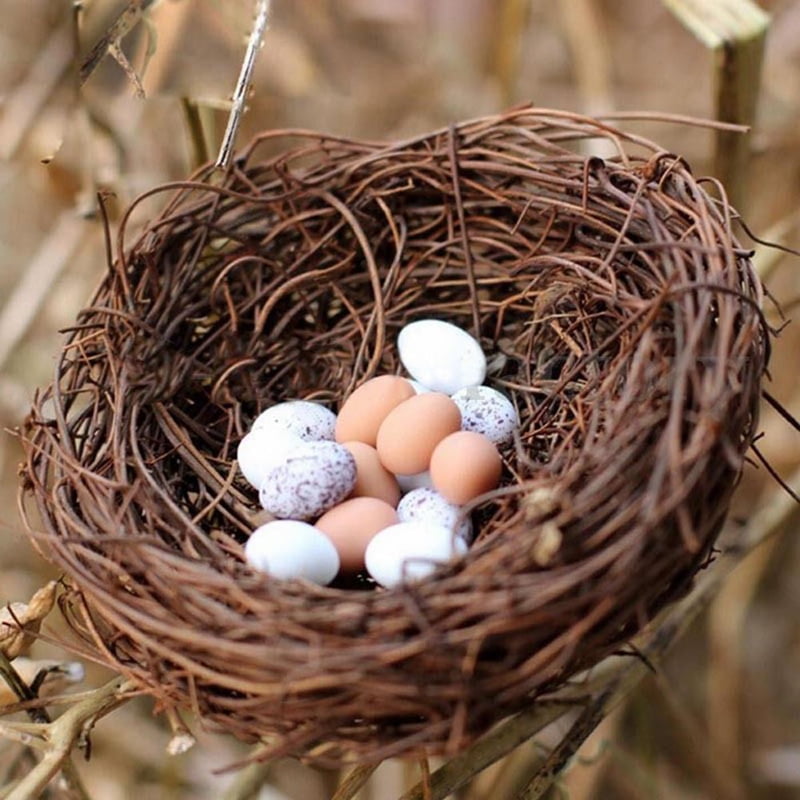 12/10/8/6 cm Mini Vine Bird Nest House Home Decor Craft Photo Prop Ornament Litt 