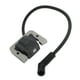 thumbnail image 5 of Bobina Del Módulo De Encendido De Reemplazo Adecuado Para 20-584-03-S 2058403 2058403S Motor, 5 of 7