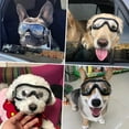 thumbnail image 5 of Gafas de sol para perros, resistentes al agua y al viento, protección ocular para perros grandes y medianos., 5 of 5