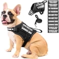 thumbnail image 1 of Set de chaleco, arnés y correa para perros de servicio MOOGROU Black M, 1 of 7