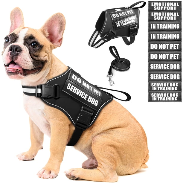 Set de chaleco, arnés y correa para perros de servicio MOOGROU Black M