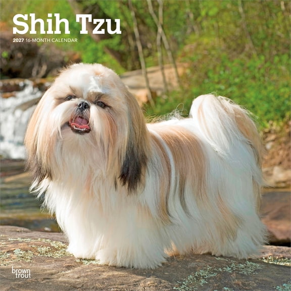 Shih Tzu | 2027 12x24" (Hanging) Wall Calendar | Plastic-Free | BrownTrout