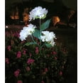 thumbnail image 1 of Soporte de pared para manguera de jardín | Almacenamiento seguro de mangueras | Uso en exteriores | Herramientas de jardinería y riego, 1 of 3