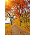 thumbnail image 2 of Fondos de fotografía de paisaje Natural ABPHQTO 150x220cm Otoño Hoja de Arce Rojo, 2 of 2