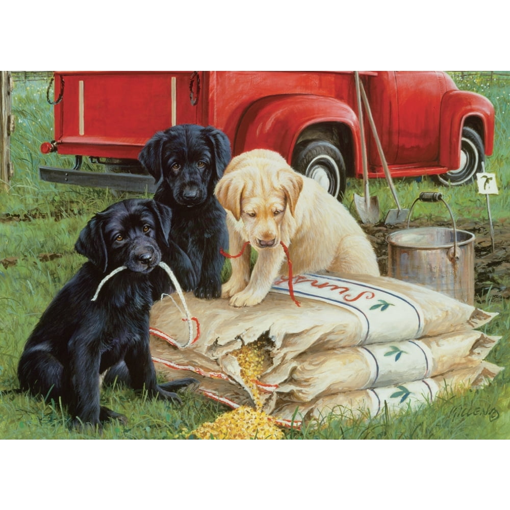 Just Dogs 1000 Piece Puzzle, Labrador Retrievers by Willow Creek Press