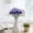 C, variant on Clearance Artificial flowers under $1,10 Head Artificial Flower Bouquet Home Living Room/Dining Table Decor Wedding Photography Prop Flowers