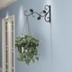 thumbnail image 5 of 5 uds macetas montadas en la pared estante gancho soporte decorativo para plantas (negro) Ndcxsfigh  Para estrenar, 5 of 6