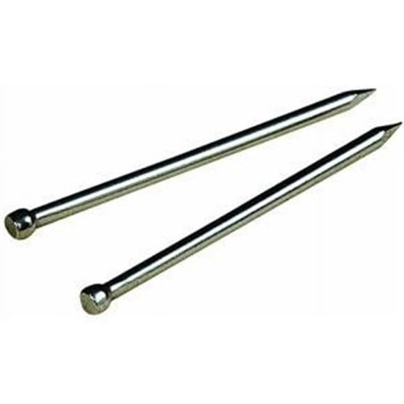 Impex Systems Group 122506 0.75 in. x 18 Wire Brads, Pack of 6