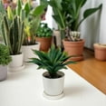 thumbnail image 3 of TETOU Succulents Plants Artificial Aloe Plant 12.5" Large Unpotted Real Fake Succulents Home Greenery Decor, 3 of 8
