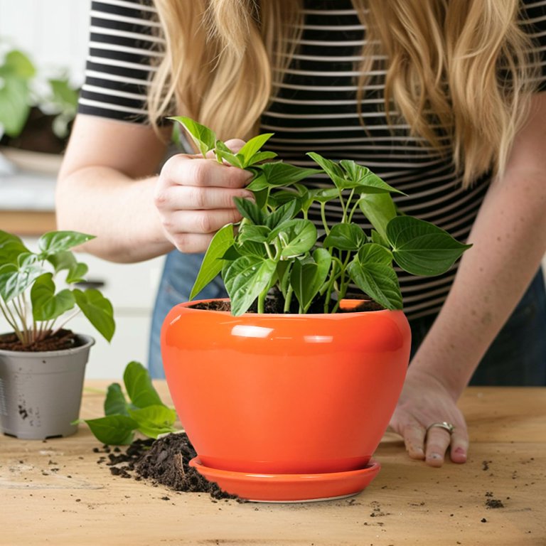 Ordivic 6-Inch Orange Ceramic Planter with Saucer photo 7