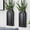 Black, variant on 2 Pack Wooden Wall Vase Set Black Finish Modern Farmhouse Boho Decor for Narrow Spaces