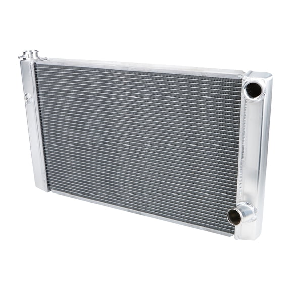 Dual Pass Radiator 19x31 with 1/4in Bung
