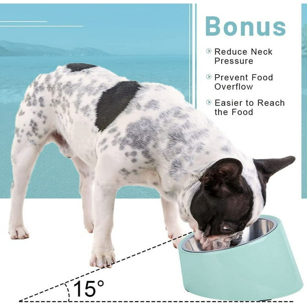 Angled dog food bowl clearance